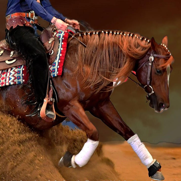 MB SMART WHIZ REVENGE 🦅 (2018) • Quarter Horse Reining Stallion • SMART  CHIC OLENA X JACS LITTLE PAIN X TOPSAIL WHIZ • Sold… Venduto! – Il primo  blog dedicato agli straordinari cavalli American Quarter Horses AQHA